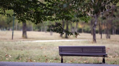 prognoza-meteo-vreme-11-octombrie-2025