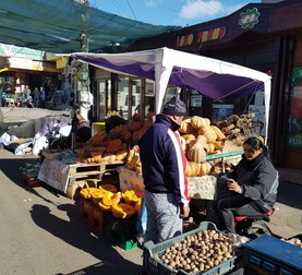 Arhiva foto