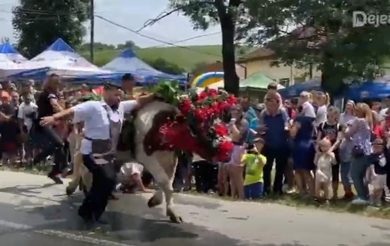 VIDEO | Momentul în care un bărbat a fost trântit la pământ de un bou, la un festival din Cluj