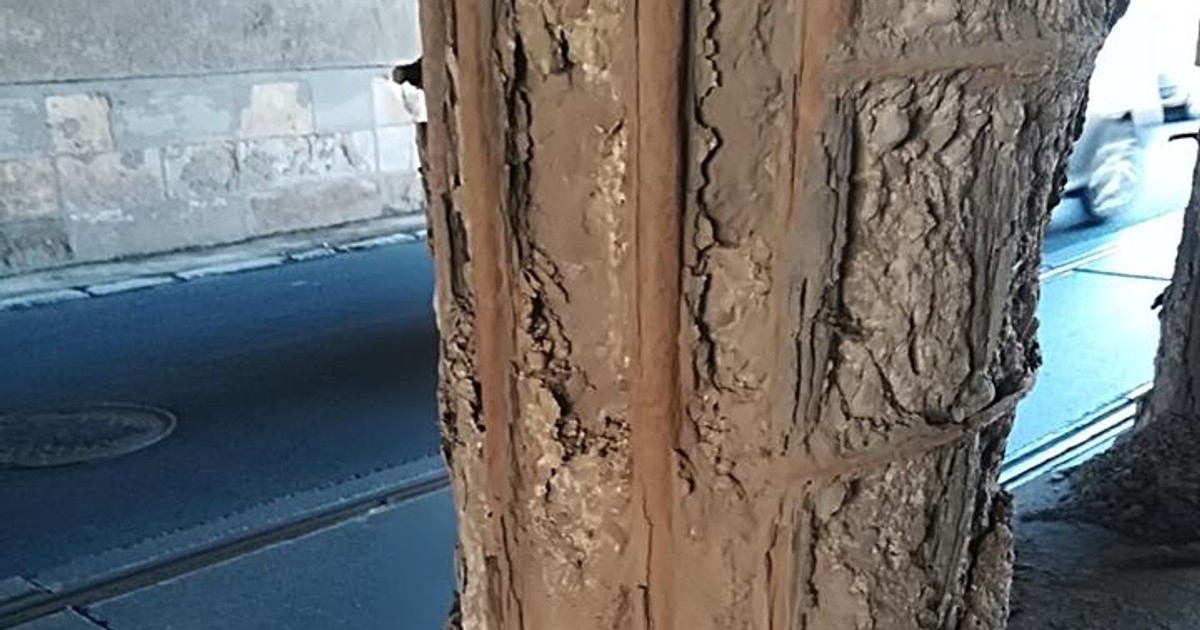 Podul Constanța riscă să se prăbușească