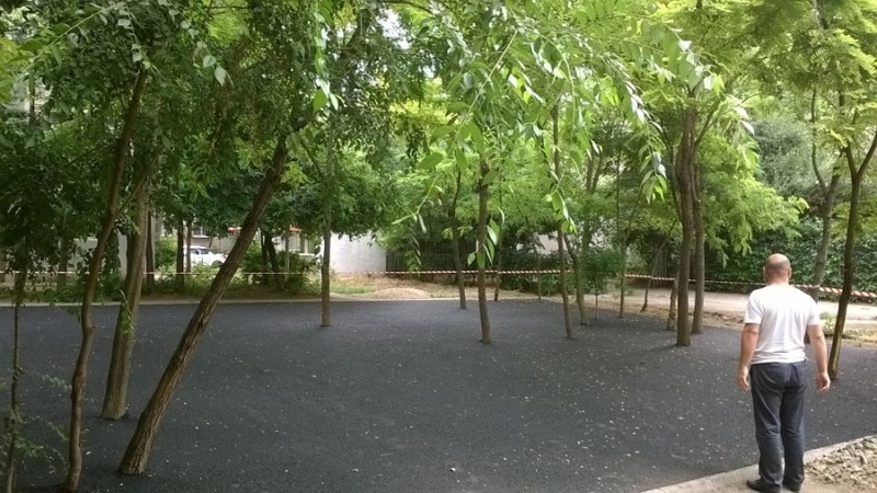 Parcul din Galați în care copacii au fost acoperiți cu tartan
