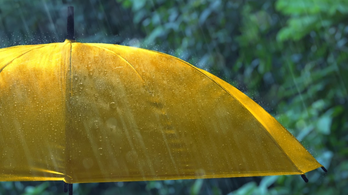 O umbrelă galbenă în ploaie
