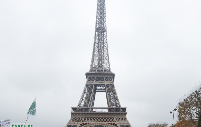 Puteai să juri că nu vei vedea asta NICIODATĂ! Sute de oi, lângă Turnul Eiffel | FOTO