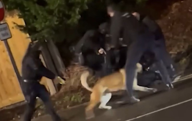 Un taximetrist român a filmat momentul arestării bărbatului care a înjunghiat 11 oameni într-un tren spre Londra: „Le-a cerut polițiștilor să-l omoare”