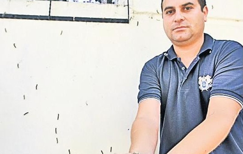 Alarmă: omizile au invadat Bucureștiul!