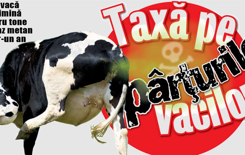 Taxă pe pârţurile vacilor