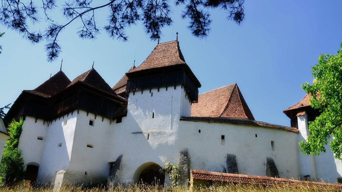 Arhiva foto