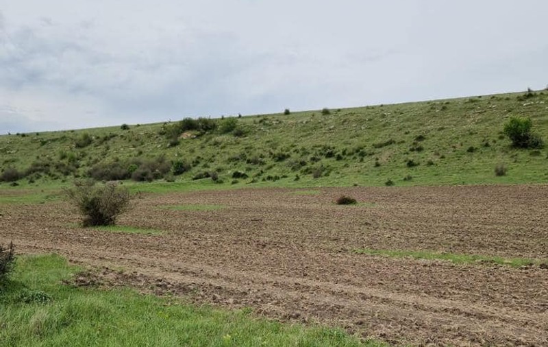 Garda de Mediu a amendat o primărie din Constanţa din cauză că a făcut lucrări agricole într-o arie protejată