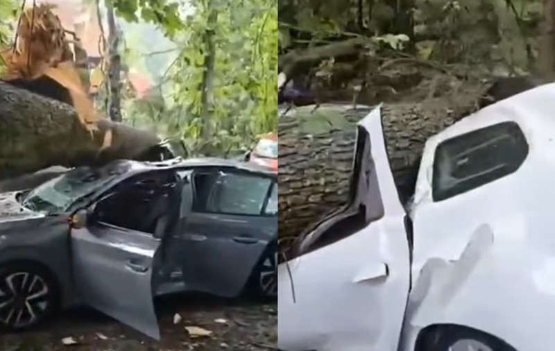 Noi imagini după prăpădul din Sinaia: mașini făcute praf de copacii puși la pământ de furtună, lângă Castelul Peleș