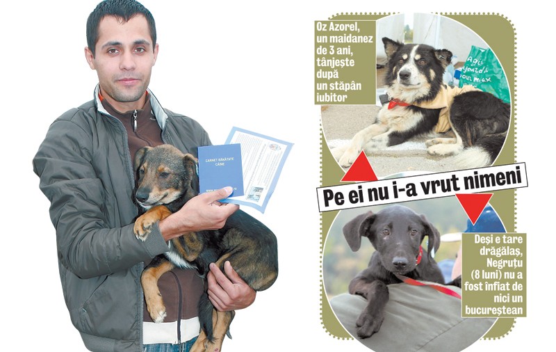 «L-am luat acasă»
