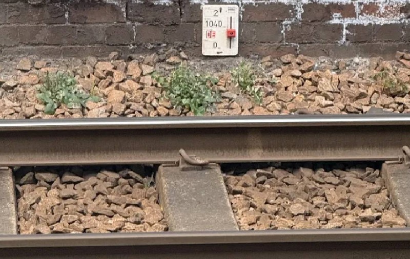 Ce înseamnă semnele misterioase de lângă șinele metroului din Londra: „Esențiale pentru funcționare”