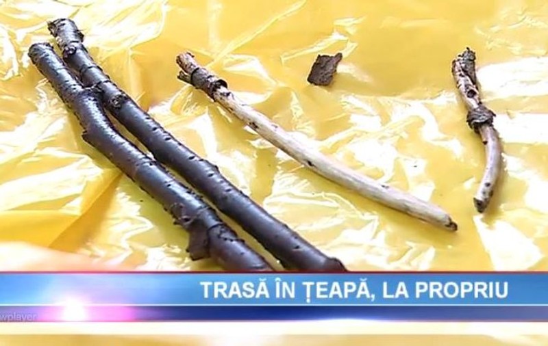 O femeie a străzii a ajuns la spital cu crengi de copac înfipte în anus
