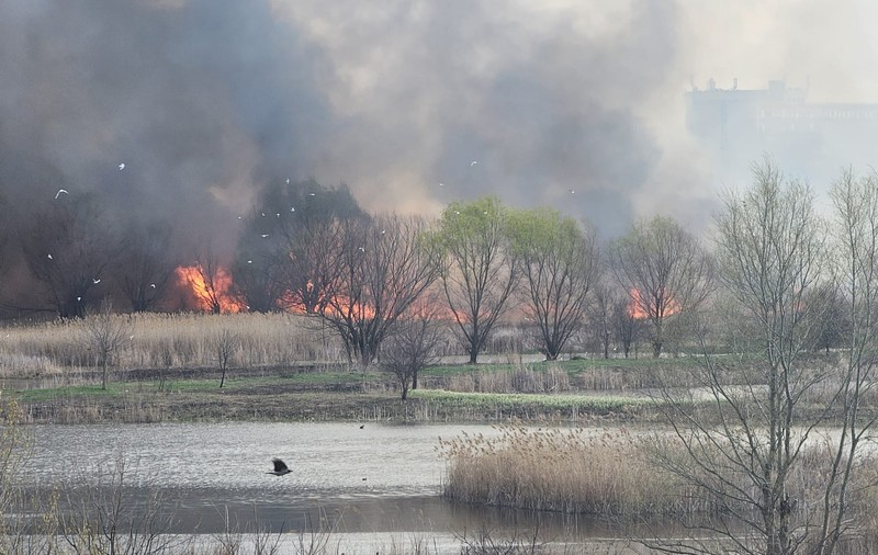 Incendiu în Delta Văcărești din Capitală. Pompierii intervin cu 11 autospeciale