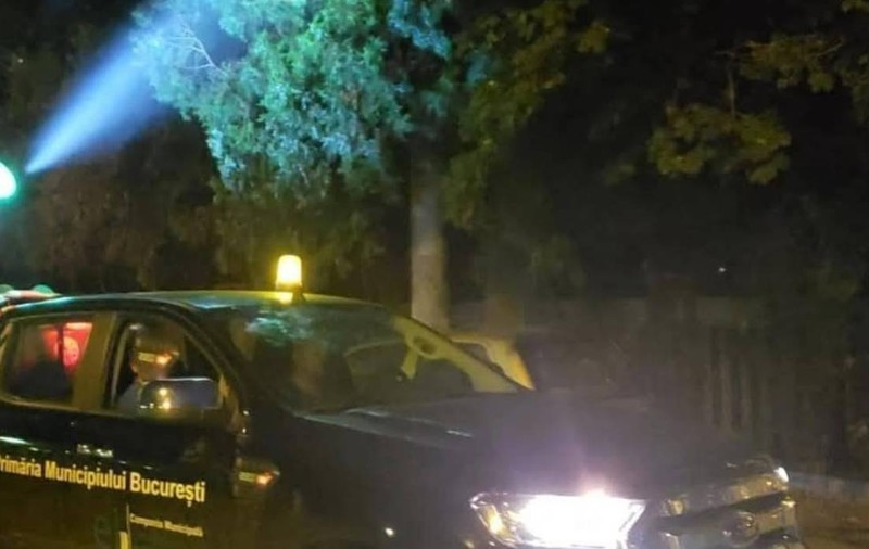 Program de dezinsecție în București: când este folosit biocidul care ar trebui să scape orașul de țânțari