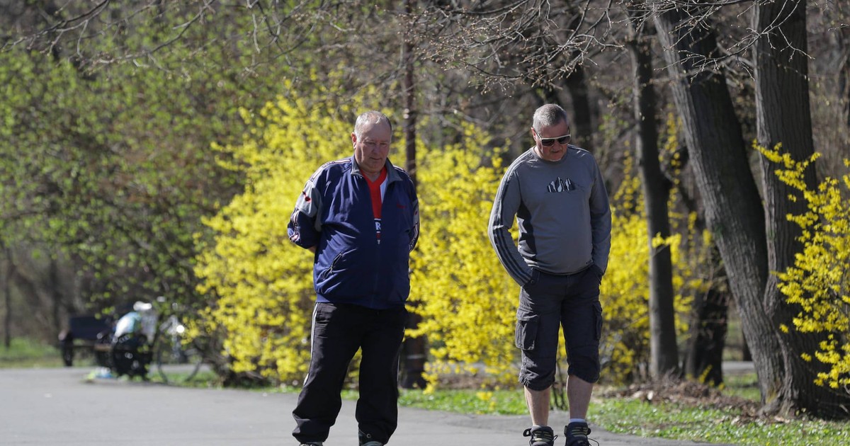 Prognoza meteo