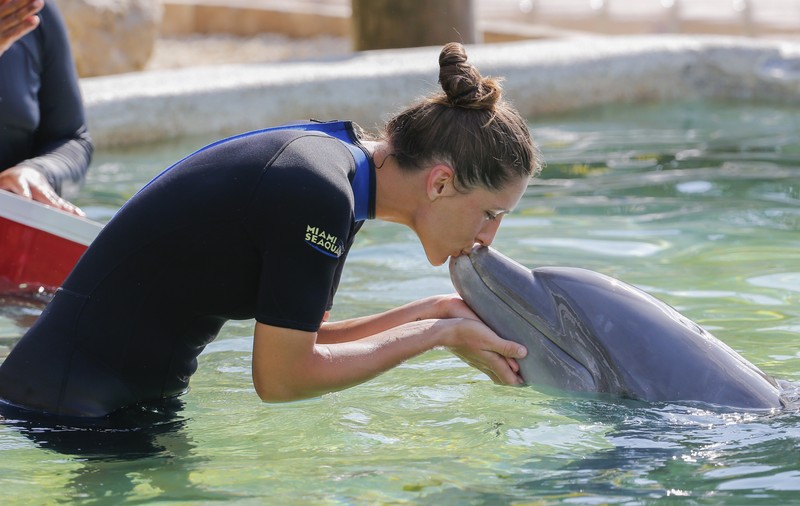Vedetele tenisului mondial s-au zbenguit cu delfinii la Miami / FOTO & VIDEO