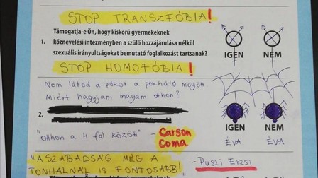 Pe buletinul de vot, un alegător a scris „Stop homofobiei”. FOTO: RTL