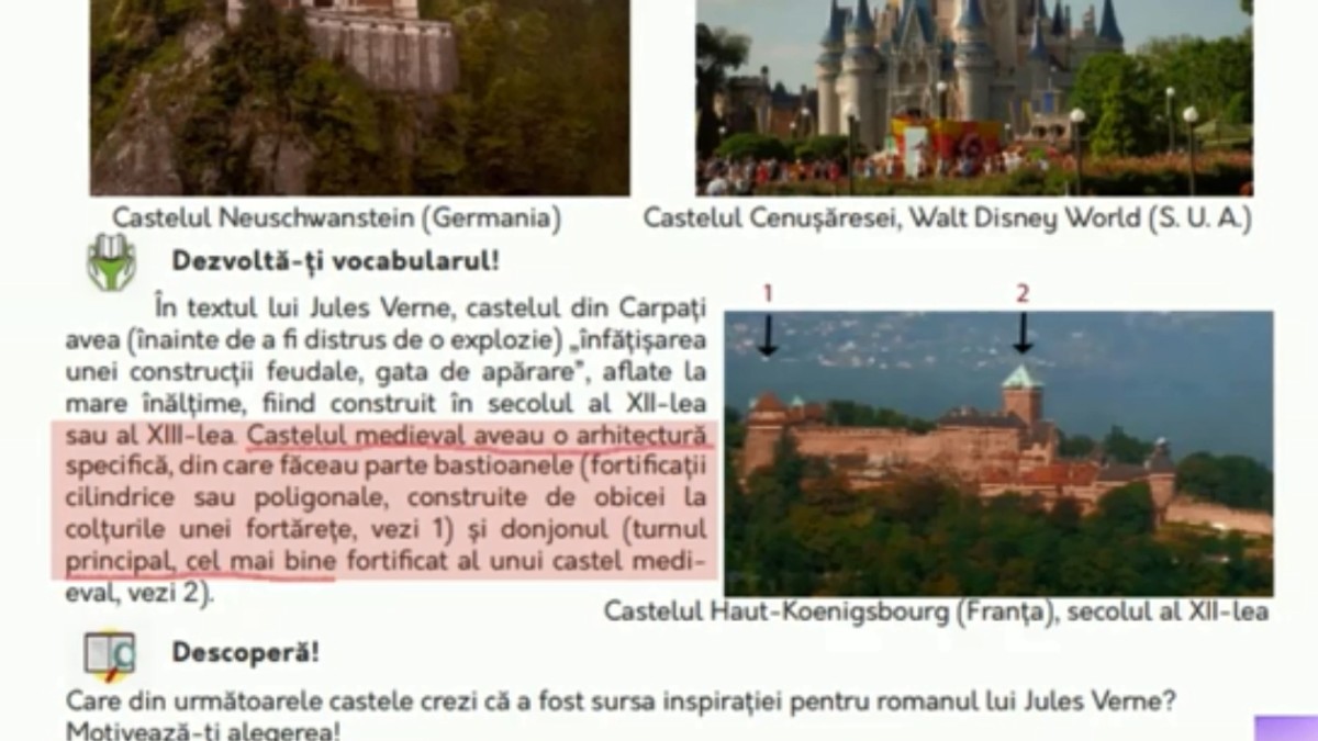 Manual de limba română plin de dezacorduri și greșeli de punctuație