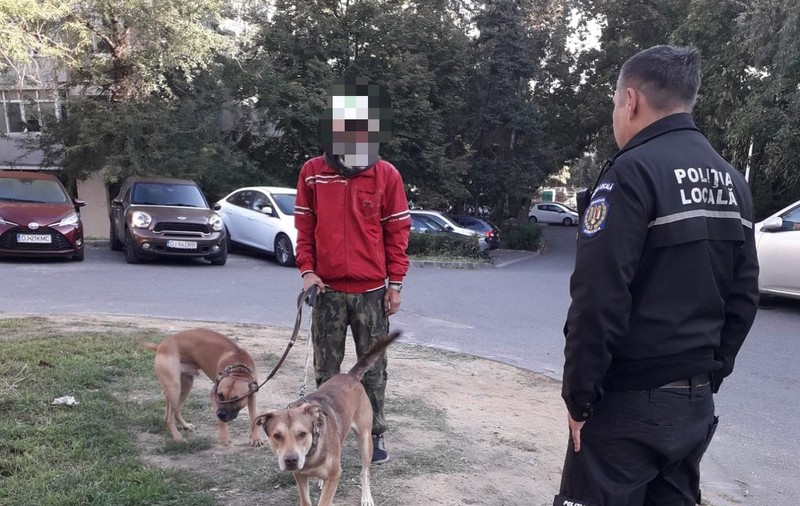 Explozie de amenzi date de Poliţia Locală Craiova anul acesta 