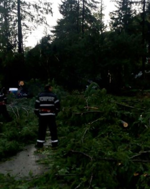 Stațiunea Moneasa din Arad, distrusă de furtună. Prăpăd după vijelie
