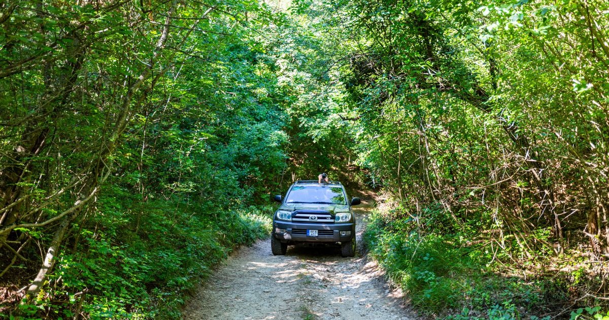 Un SUV Toyota 4Runner circulând pe drumuri forestiere și prin terenuri de vânătoare locale.