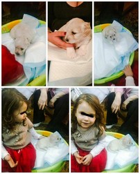 Oana Roman, surpriză de proporții. "Noul campion al mamei mele