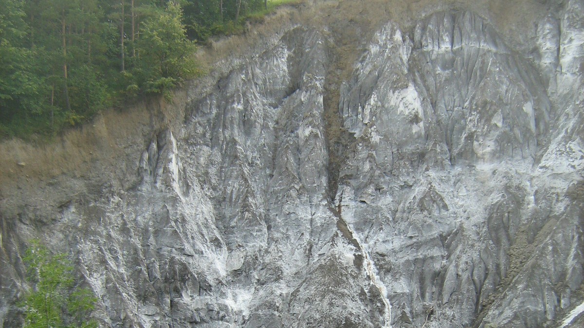 Arhiva foto