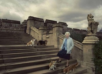 Regina Elisabeta a II-a a avut întotdeauna câini din rasa Corgi. Iat-o în 2016, alături de cățeii ei iubiți, Willow, Vulcan, Candy și Holly, chiar la Castelul Windsor | Foto: Hepta