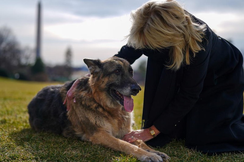Champ, alături de Jill Biden, prima doamnă a SUA. Foto: EPA