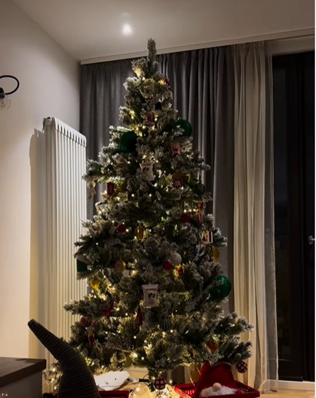 Imagini din sufrageria Alexiei Eram, decorată de Crăciun. Cât costă globurile în formă de cartofi prăjiți, muștar și ketchup pe care le-a pus în brad