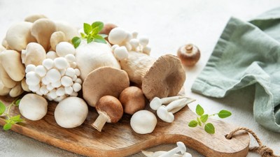 greseli-cand-gatesti-ciuperci