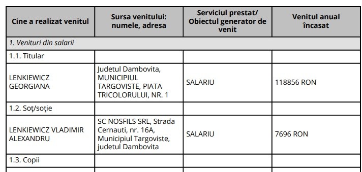 Extras din declarația de avere
