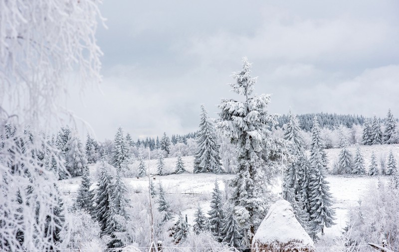 Localitatea care a devenit „polul frigului” din România. Au fost minus 20 de grade, noaptea