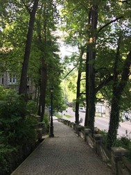 Arhiva foto
