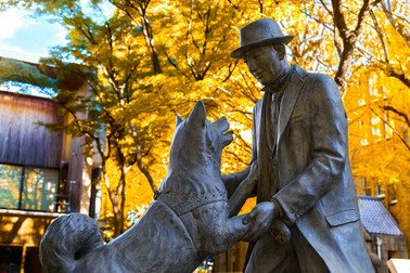Statuia câinelui Hachiko și a profesorului său, Ueno Hidesaburo, Japonia