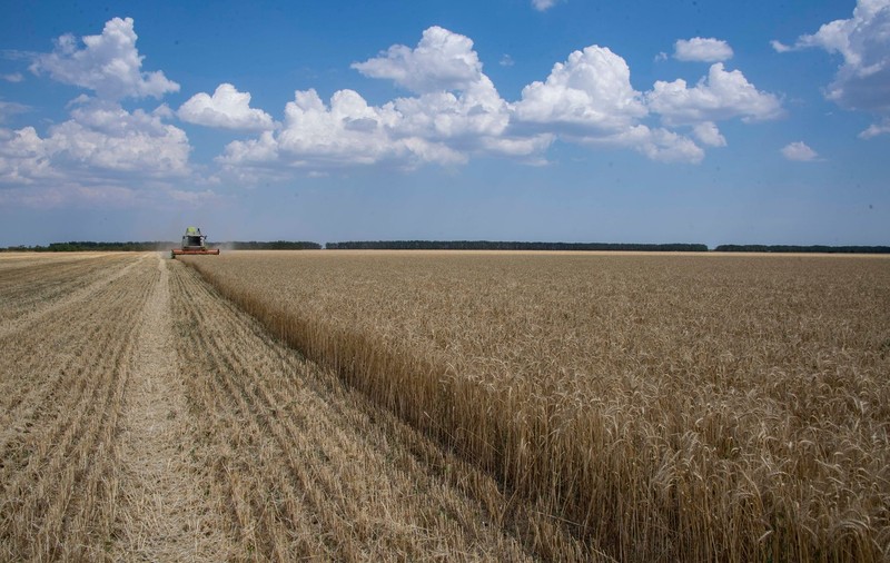 Acordul pentru reluarea exporturilor de cereale din Ucraina ar putea eșua, spune un înalt oficial rus. Despre ce obstacole vorbește Moscova