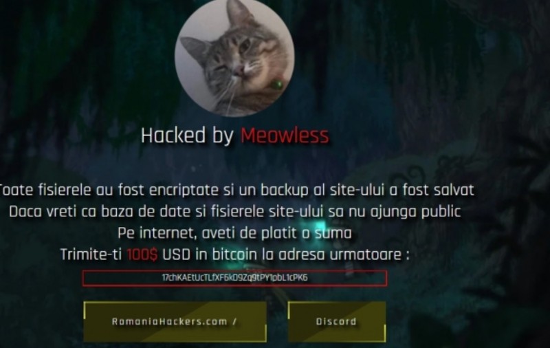 Site-ul Consiliului Județean Cluj a fost spart de hackeri. Ce condiții le impun aceștia autorităților