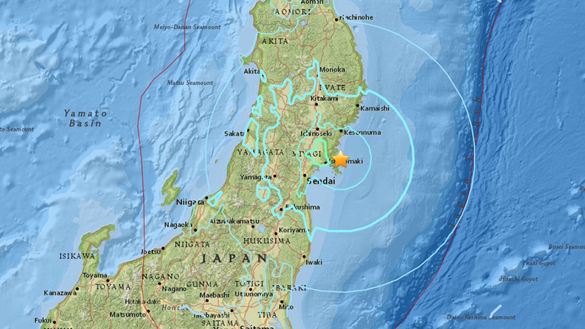 Un cutremur de 6,2 grade pe scara Richter a lovit Japonia