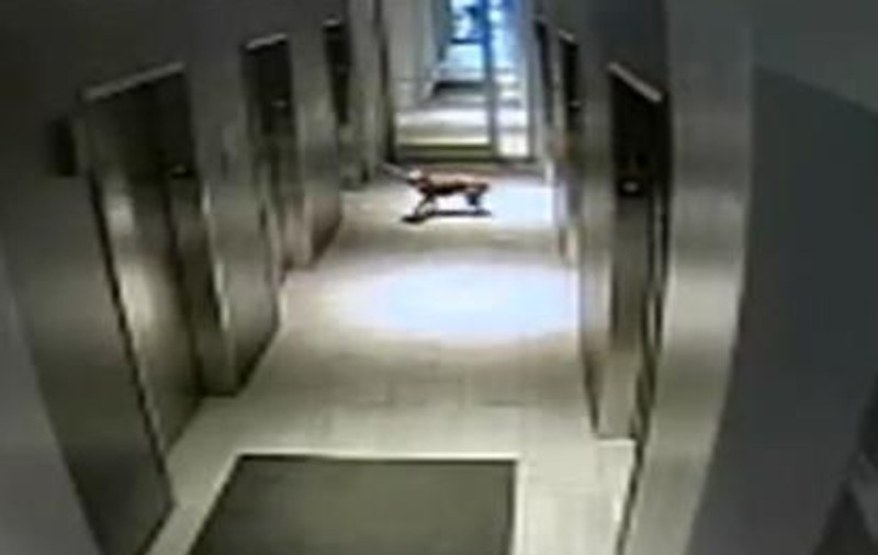 MOMENT DRAMATIC | A urcat în lift, dar a lăsat câinele pe-afară. Şi îl ţinea în lesă! | VIDEO