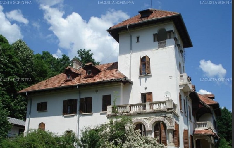 Cât plătești ca să trăiești ca un boier în 2025? Se caută cumpărători pentru unele dintre cele mai frumoase conace din România - FOTO