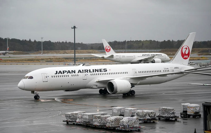 O broască țestoasă a dat peste cap zborurile de pe un aeroport din Japonia