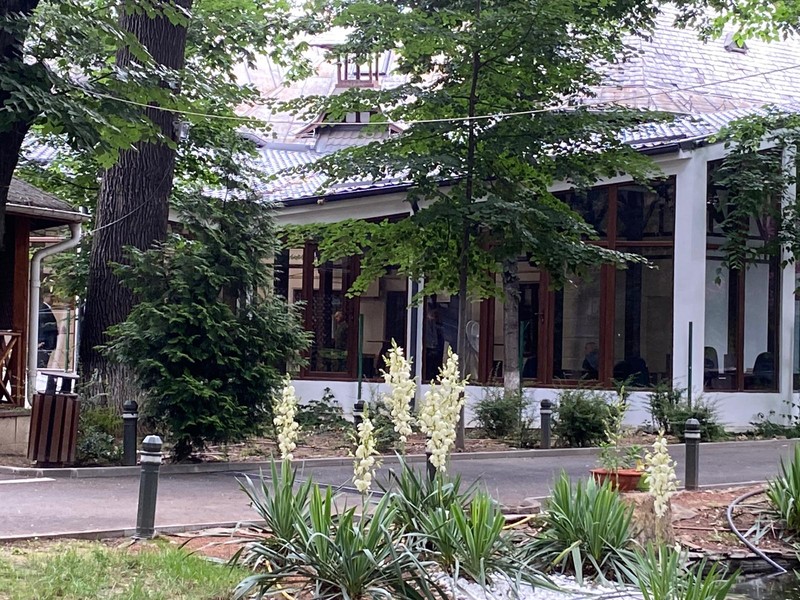 Arhiva foto