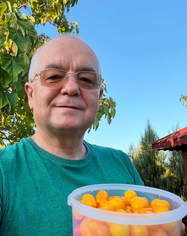 Imagini din grădina lui Emil Boc. Primarul din Cluj-Napoca a cules primele roșii cultivate de el: „O satisfacție pe care niciun magazin nu o poate oferi”