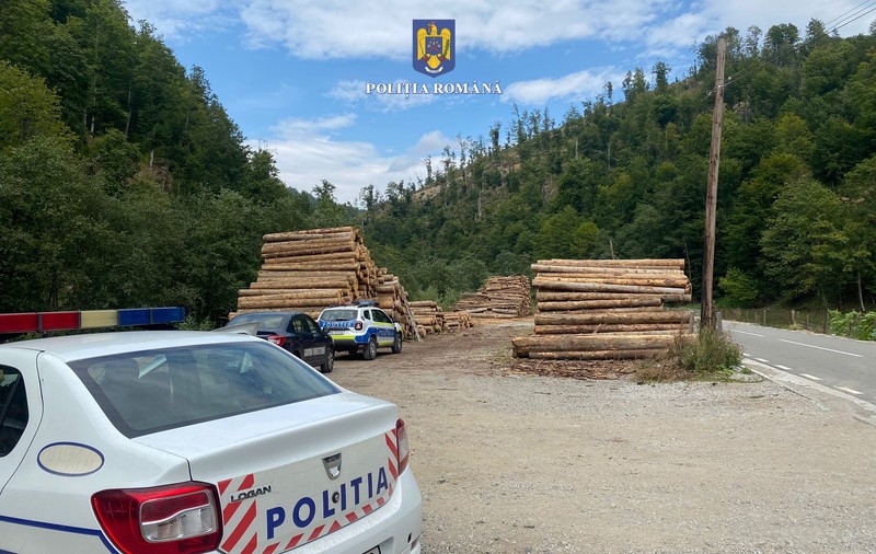 STENOGRAME | Cum a complotat mafia lemnului din Apuseni să elimine doi polițiști incomozi. Afacerist: „Cu inspectoru’ șef îs prieten de 25 de ani!”