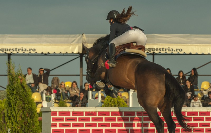 GALERIE FOTO / Performanţa sportivă şi frumuseţea echitaţiei,  în primul week-end de la Salonul Calului