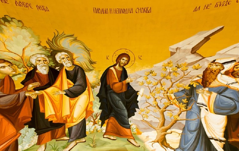 De ce a blestemat Iisus Hristos smochinul