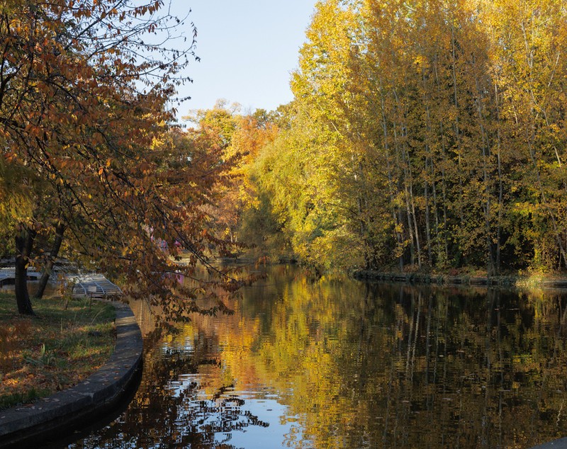 Grădina Botanică, locul perfect pentru cele mai bune poze pentru rețelele de socializare