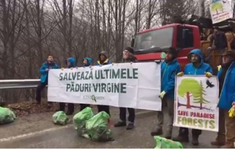 Transfăgărășanul, blocat de activiștii de mediu care protestează față de tăierea ilegală a copacilor | VIDEO