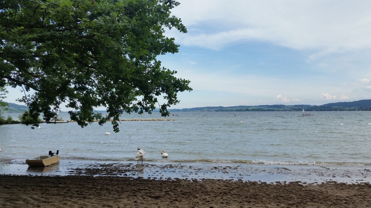 Lacul Murten din Salavaux / Cantonul Vaud, Elveția