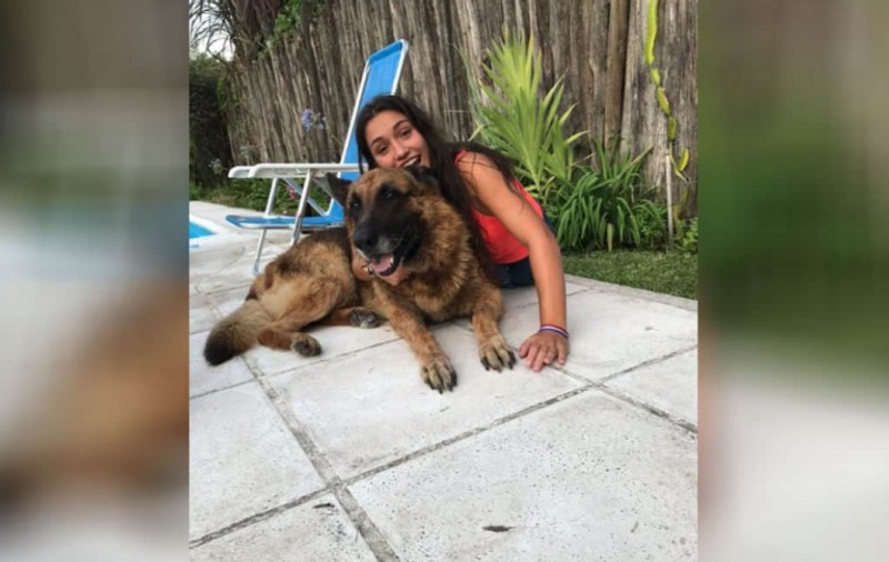 O fată de 17 ani s-a ales cu răni pe față după o sesiune foto cu un câine